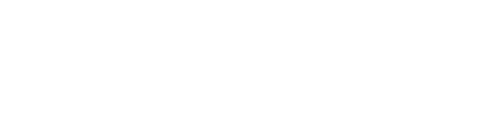 ECE Logo One Color White